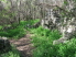 An interesting set of "ruins" along the north loop