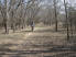 A peaceful stretch through a tunnel of trees