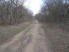 Doubletrack leading back to the main trailhead