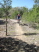 Another of the many ledges and steps at Pace Bend Park (photo courtesy of the Waco Bicycle Club)