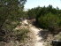 Up and down, between the rocks (photo courtesy of EastTexasBill)