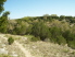 A pleasant view from the trail (photo courtesy of EastTexasBill)