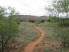 The singletrack of Little Fox Run Canyon Trail