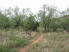 Little Fox Run Canyon Trail offers a little shade here and there