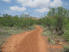 Most of Lighthouse Trail is a wide path