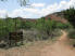 Juniper Trail will take you to Capitol Peak's trailhead