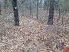 A section of singletrack nearly covered by the leaves (photo courtesy of Bryan Hargis)