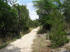 The dirt trail shortly after heading down Wolf Mountain Trail