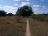 A smooth stretch of singletrack (photo courtesy of mtblawgirl)