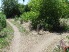 Ride Prairie Loop or take the bypass? Your choice