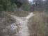 One of the numerous decision-making points along Salado Creek's trails