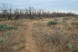 On the high ground the trail starts to open up into longer straightaways (photo courtesy of Thed)