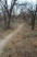 Riding back towards the trailhead along side the North Concho River. Headed downstream (photo courtesy of Thed)