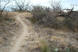A mild elevation change. Going up? (photo courtesy of Thed)