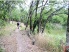 A relaxing, river-side stretch of singletrack (photo courtesy of WBC)