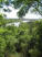 A view of the dam from the trail