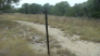 Tee Posts used to mark areas for plant studies (photo courtesy of ARR)