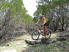 Larry Colvin (FWMBA) negotiating one of the rock piles on the Blue Loop (photo courtesy of Mack Hargrave)