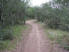 A section of the short stretch of singletrack