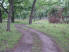 A stretch of doubletrack winding through the trees