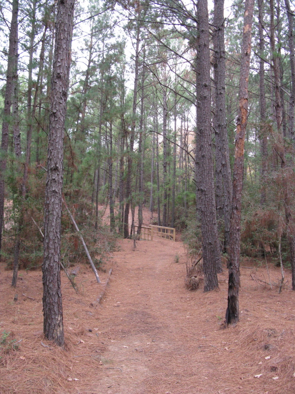 South Short Park on Lake Bastrop, Bastrop