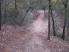 An early descent along the North/South Trailway