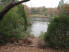 A peek at Lake Bastrop from the trail