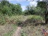 A nice stretch of singletrack (Blue Stem Trail)