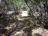 Loose rocks and such can be found along Porcupine Trail