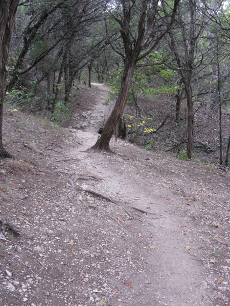 St. Edward's Park, Austin