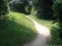 Another pleasant stretch of singletrack (photo courtesy of TerryHersheyPark.org)