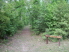 Welcome to Village Creek State Park - the warm-up trail (photo courtesy of EastTexasBill)