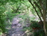 Up and down with a log crossing (photo courtesy of EastTexasBill)